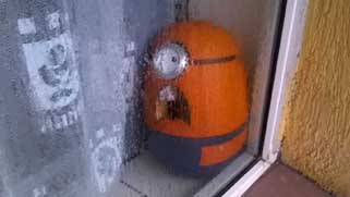    minionek halloween 2015  