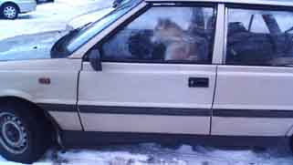 pies za kierownica 2007